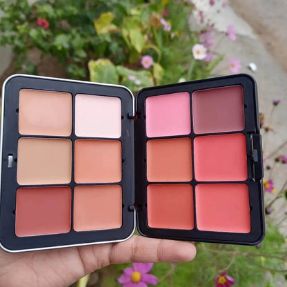Carla Secret 12 Color Cream Concealer & Blush Palette 2 in 1