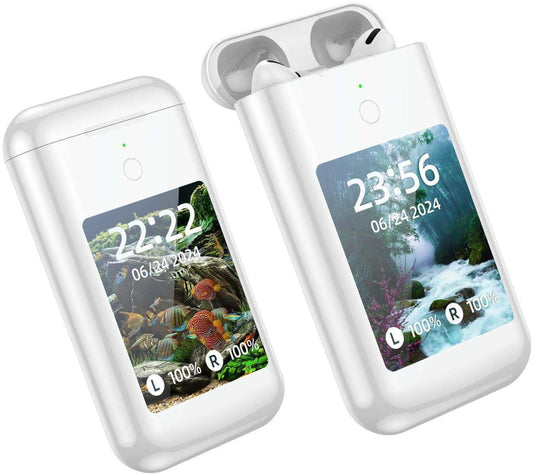 2-in-1 Earbuds & Power Bank